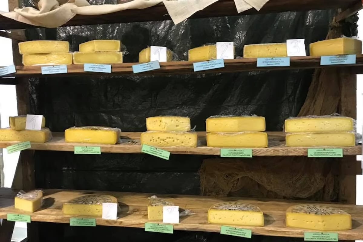 Etichette dei formaggi a latte crudo: il nodo è informare senza penalizzare i produttori