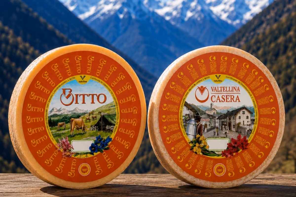 I formaggi della Valtellina Bitto e Casera