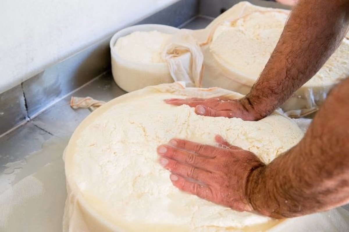La produzione - e la successiva etichettatura - dei formaggi a latte crudo al centro del dibattito