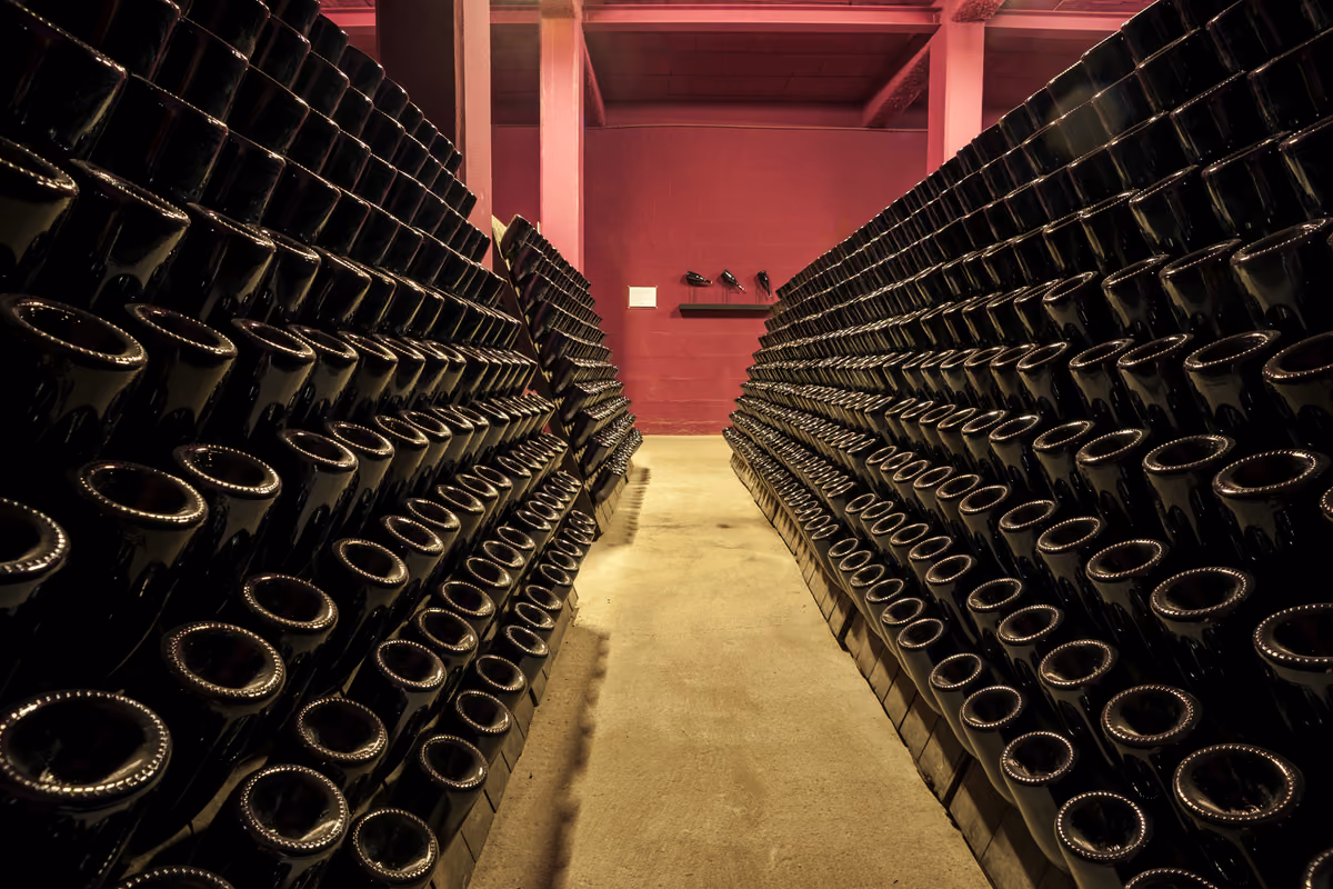 Vino, frenata degli imbottigliamenti: nei nove mesi il calo è del 3%