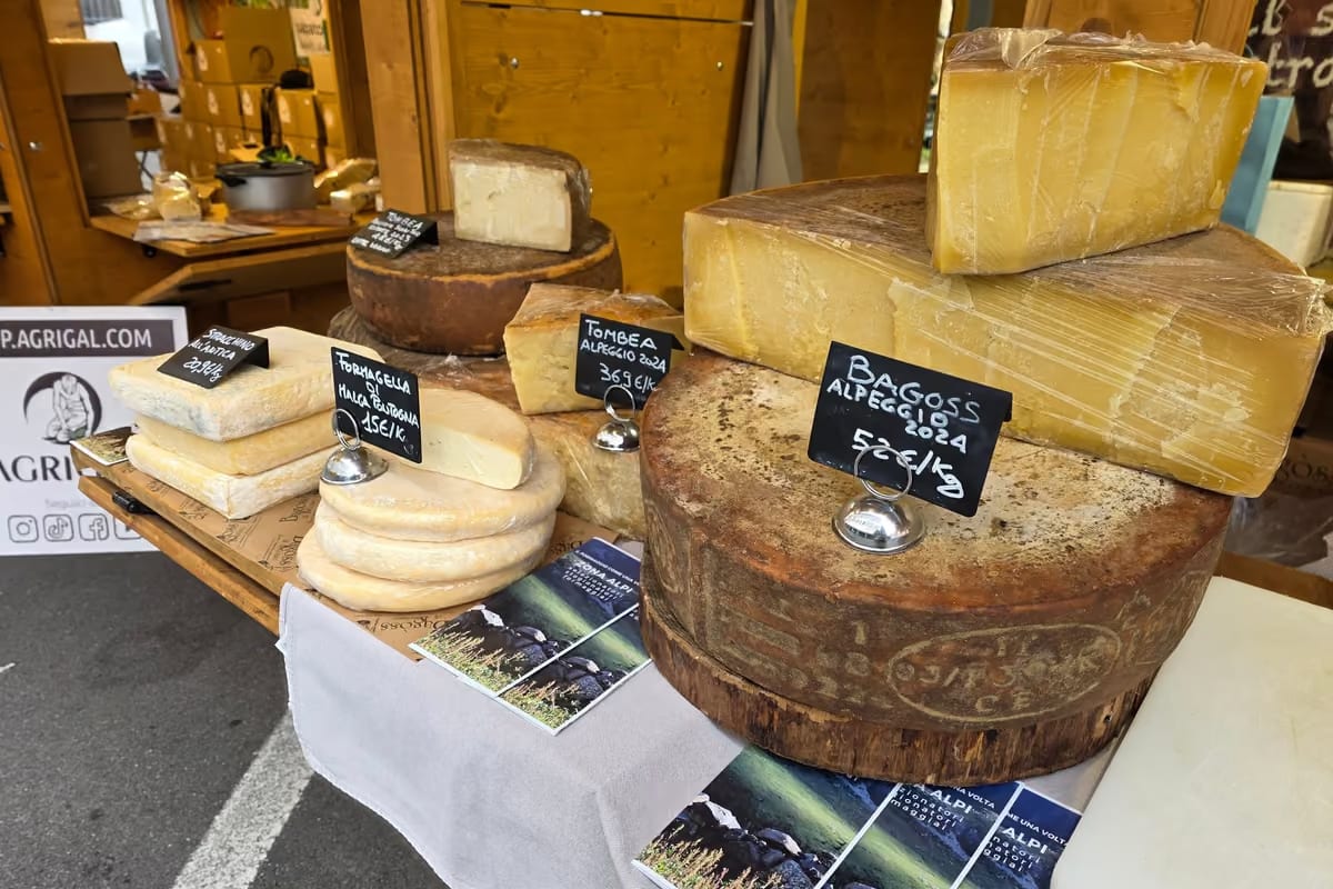 I formaggi d'Italia si incontrano a Castegnato per “Franciacorta in Bianco”