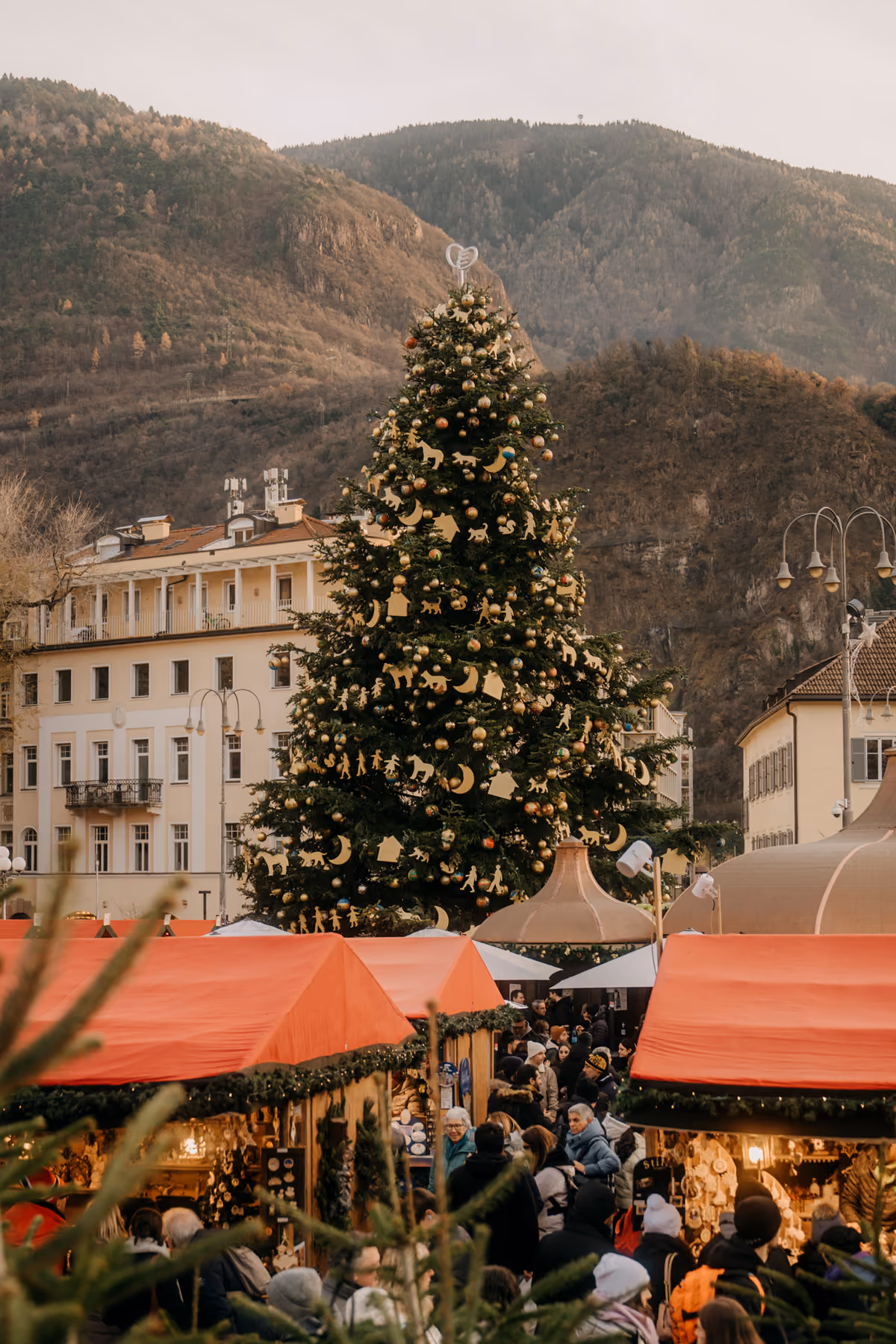 Il grande albero di Natale in centro a Bolzano