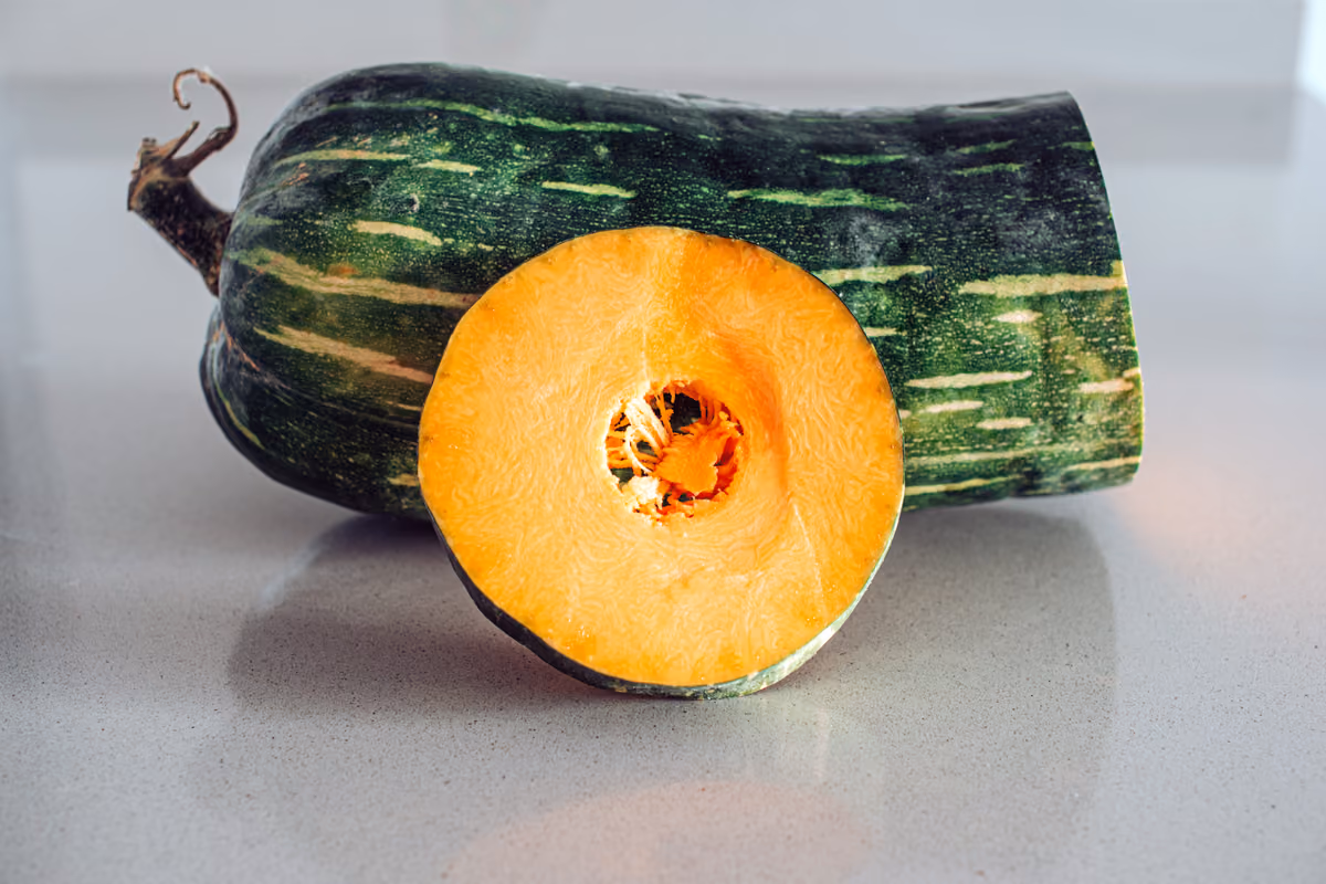 Tutto sulla zucca: dalle origini alle varietà, fino ai benefici e alle ricette