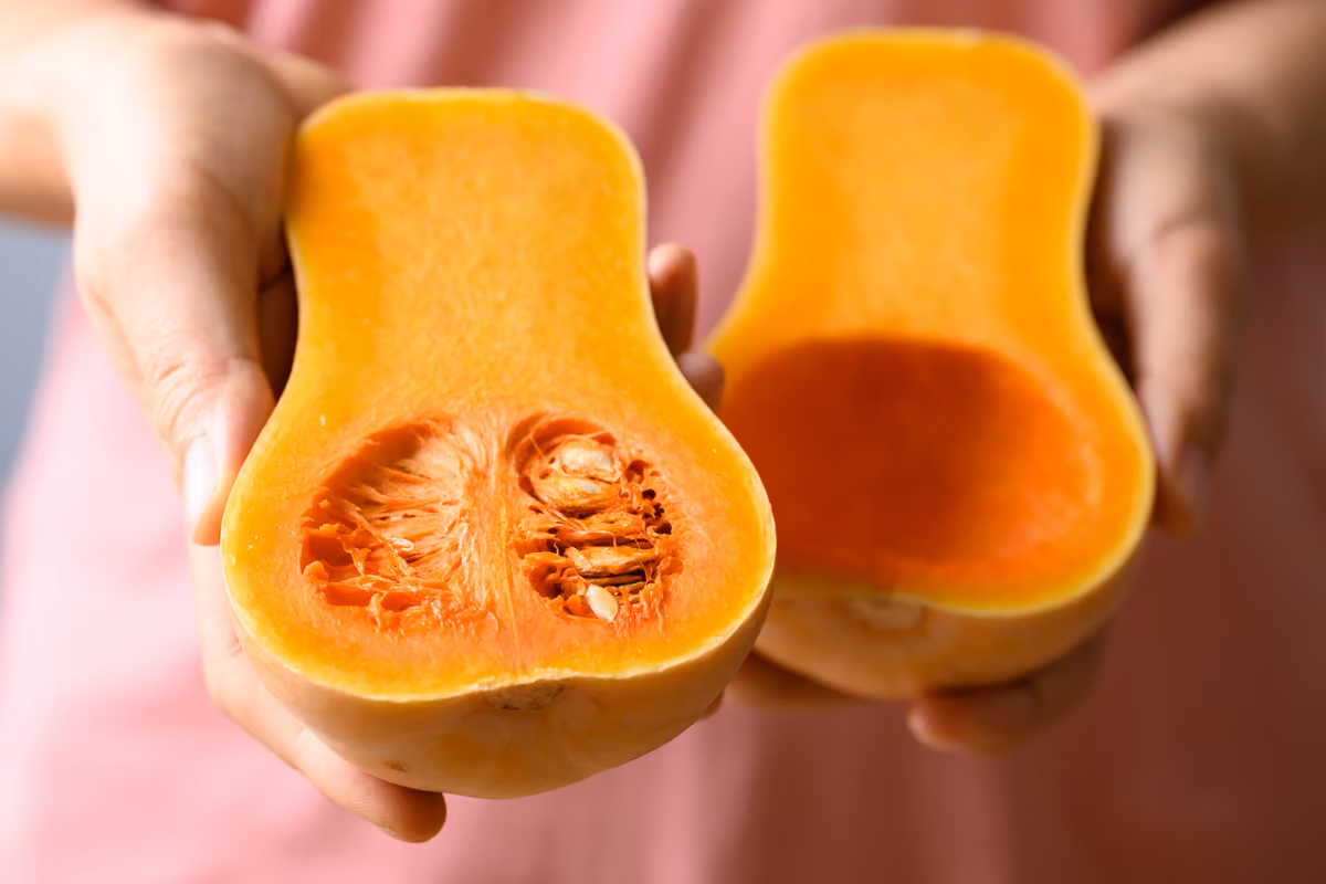 Tutto sulla zucca: dalle origini alle varietà, fino ai benefici e alle ricette