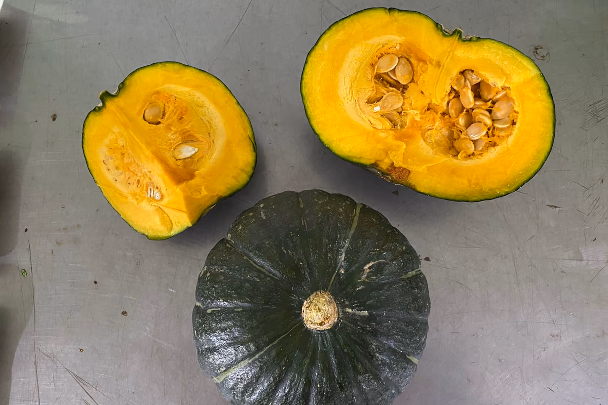 Tutto sulla zucca: dalle origini alle varietà, fino ai benefici e alle ricette