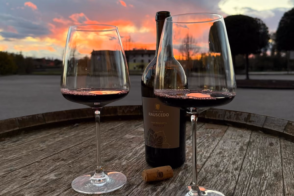 La nuova strategia di Cantina Rauscedo: il vino si progetta in base al mercato
