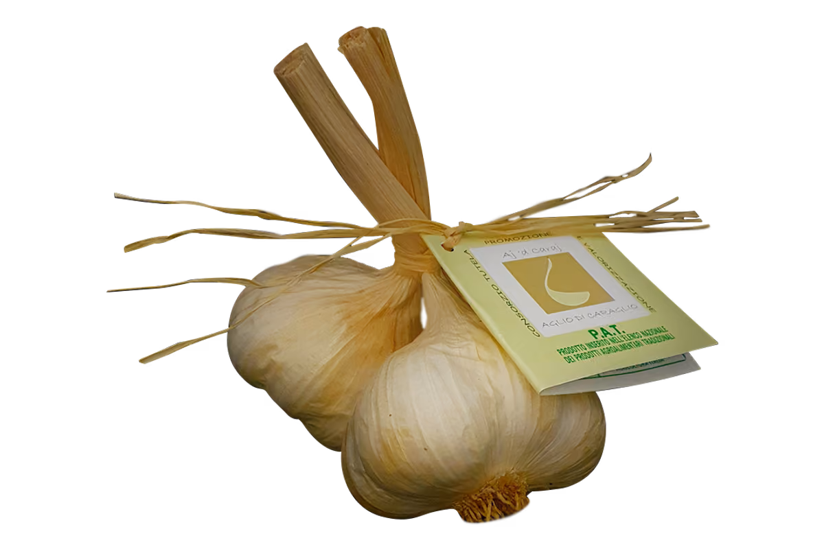 L'aglio storico di Caraglio