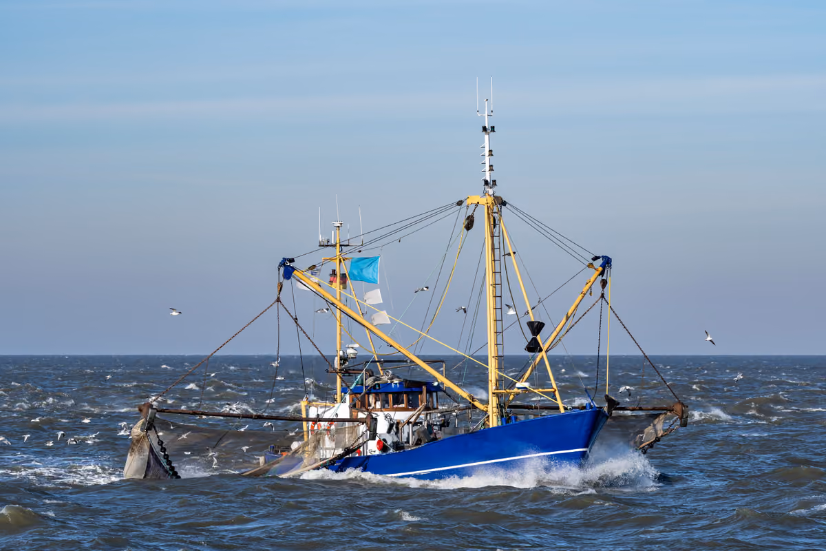 I moderni pescherecci praticano spesso una pesca intensiva
