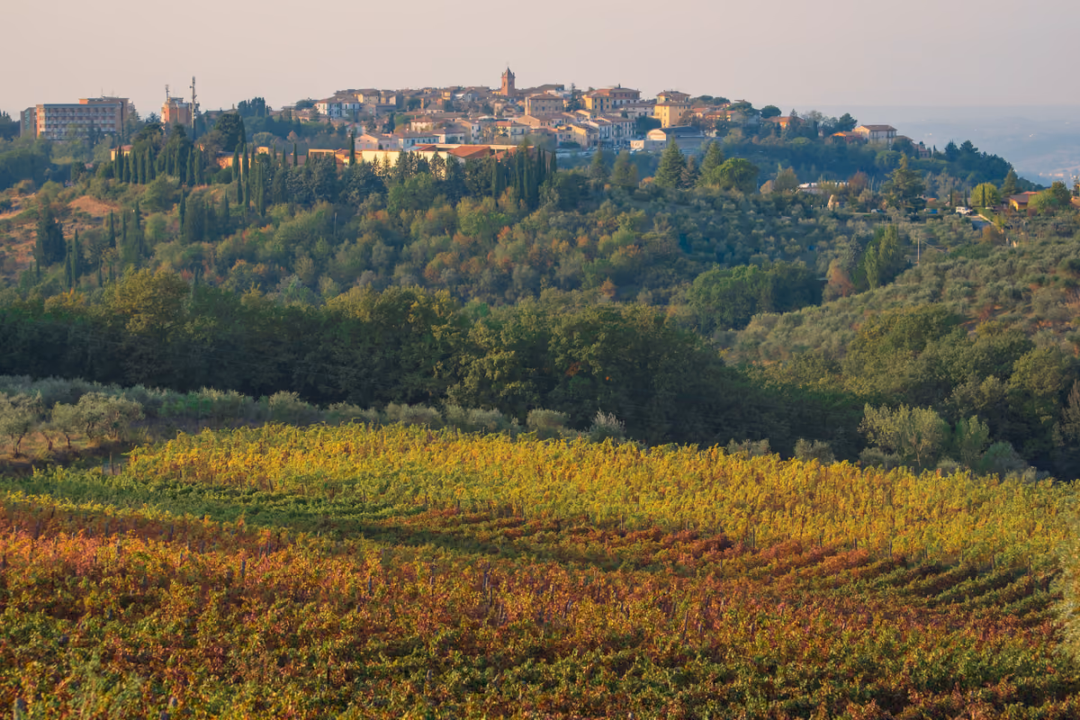 Un panorama autunnale della zona di Montaione (Fi)