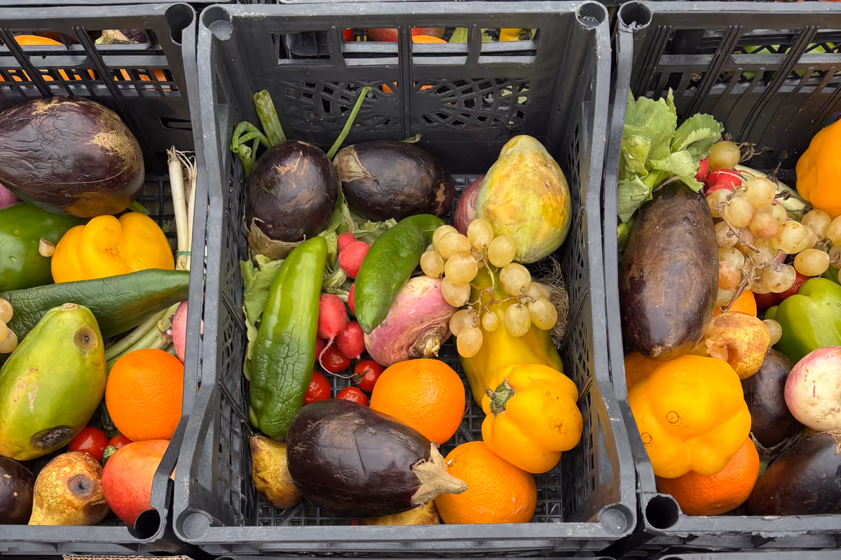 Dagli alimenti invenduti ai pasti pronti: come funziona il Frigorifero Solidale