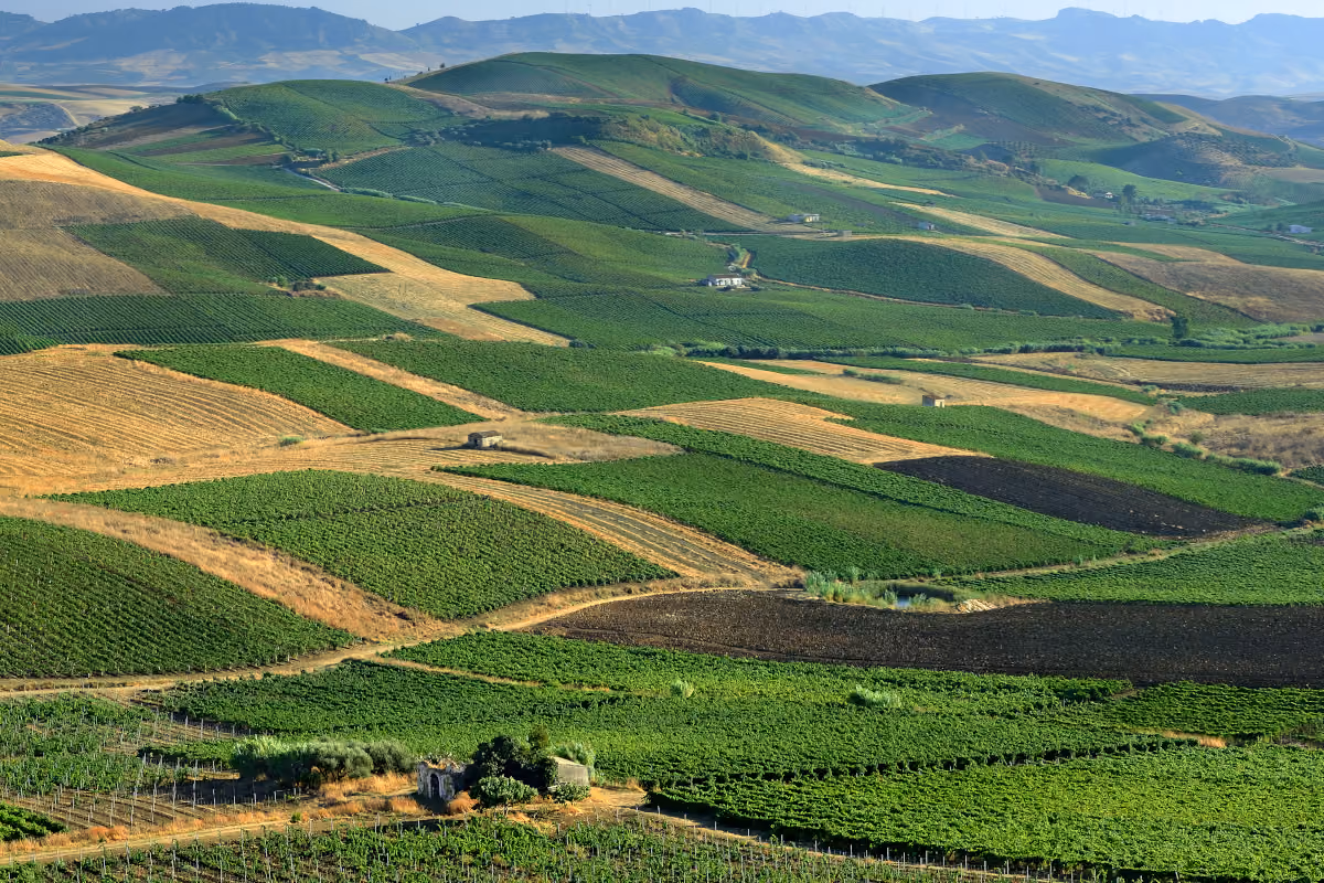 La Sicilia è Regione vinicola dell’anno 2026 secondo Wine Enthusiast