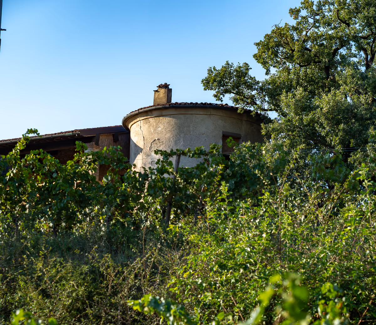 La torre circolare del Trecento a Erbusco Villa, destinata a diventare il centro di accoglienza e degustazione della cantina