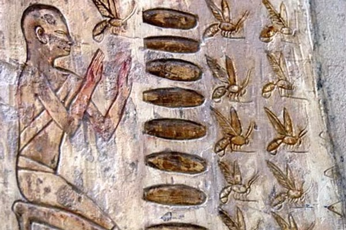 Miele siciliano, una storia millenaria: dalle tavole dei faraoni alle ricette di oggi