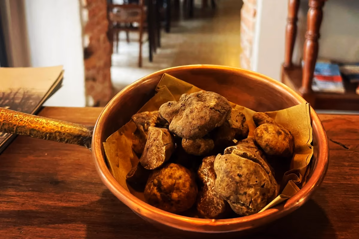 Tartufo Bianco dell'Oltrepò pavese