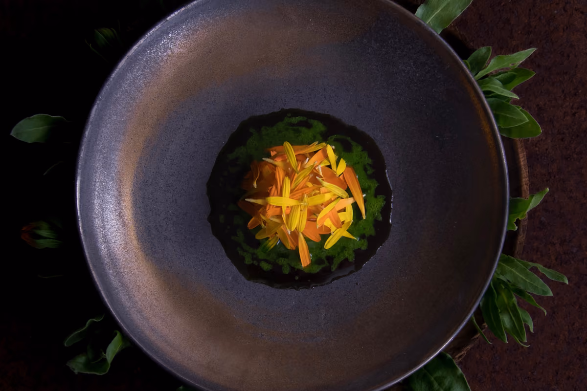 piatto con petali di fiori gialli e arancioni su base di salsa verde
