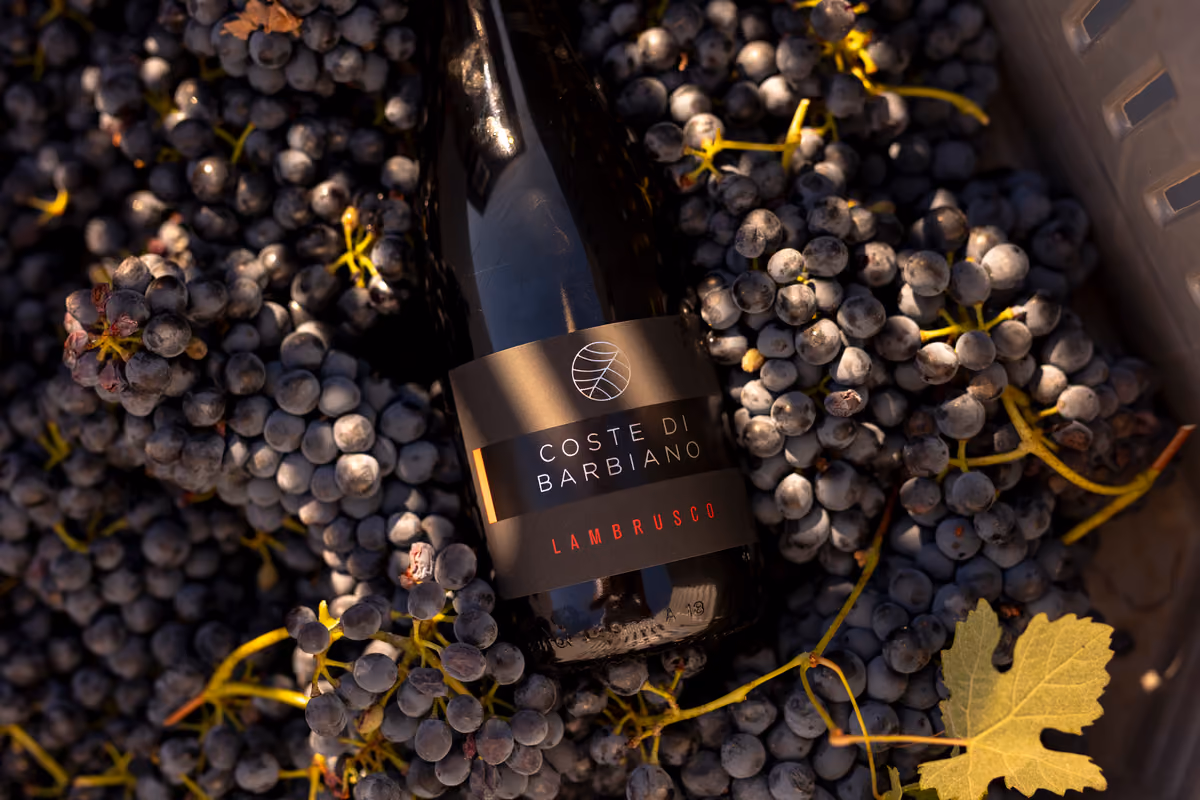 Lambrusco di Coste di Barbiano