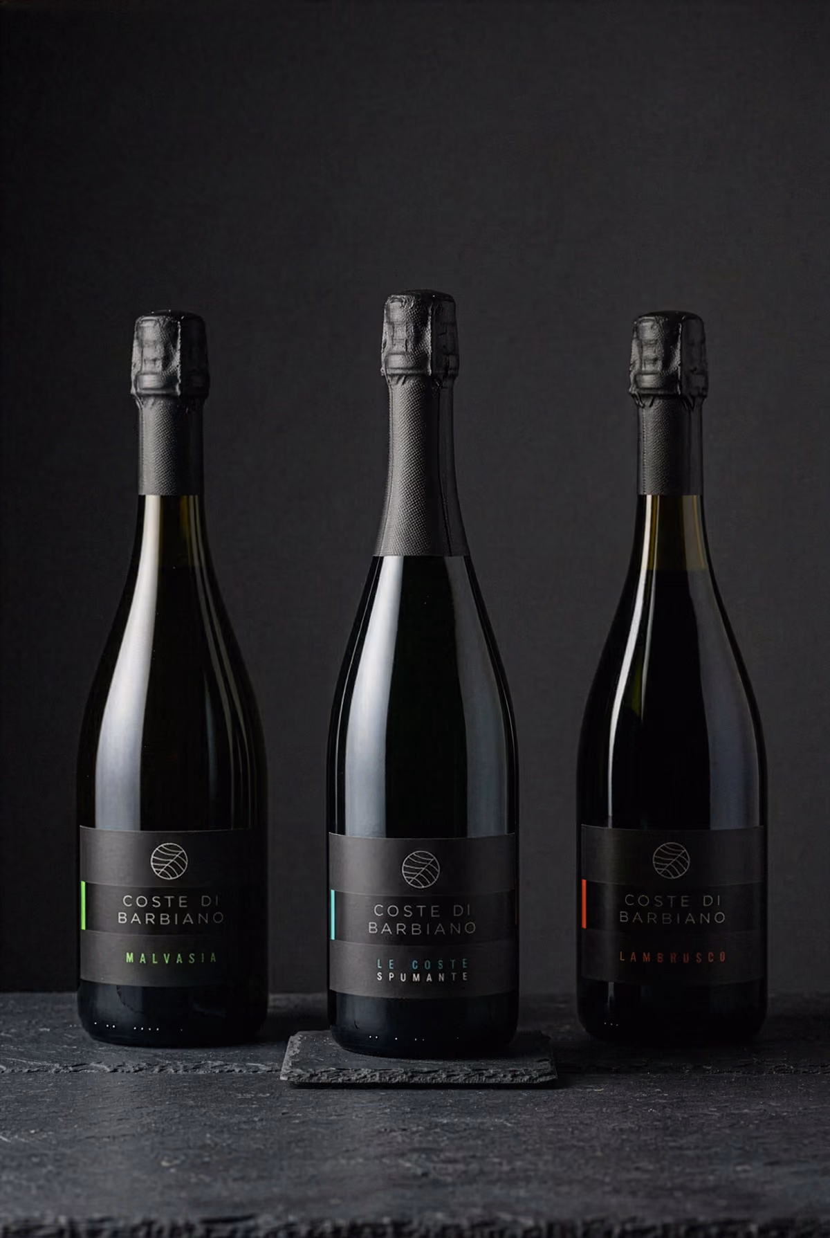 Lambrusco, Spumante e Malvasia, le prime tre etichette di Coste di Barbiano