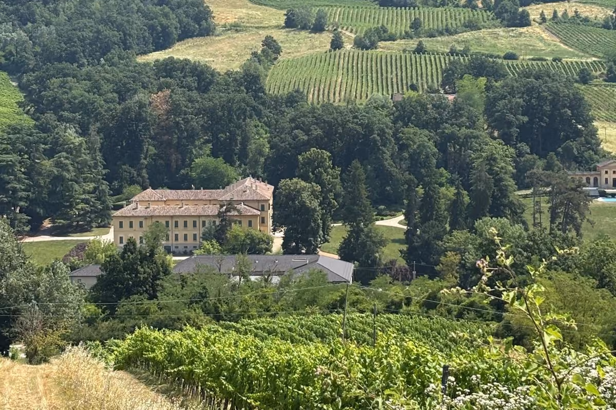 Vistarino cambia passo: nasce “Ottavia”, il manifesto del Pinot Nero italiano