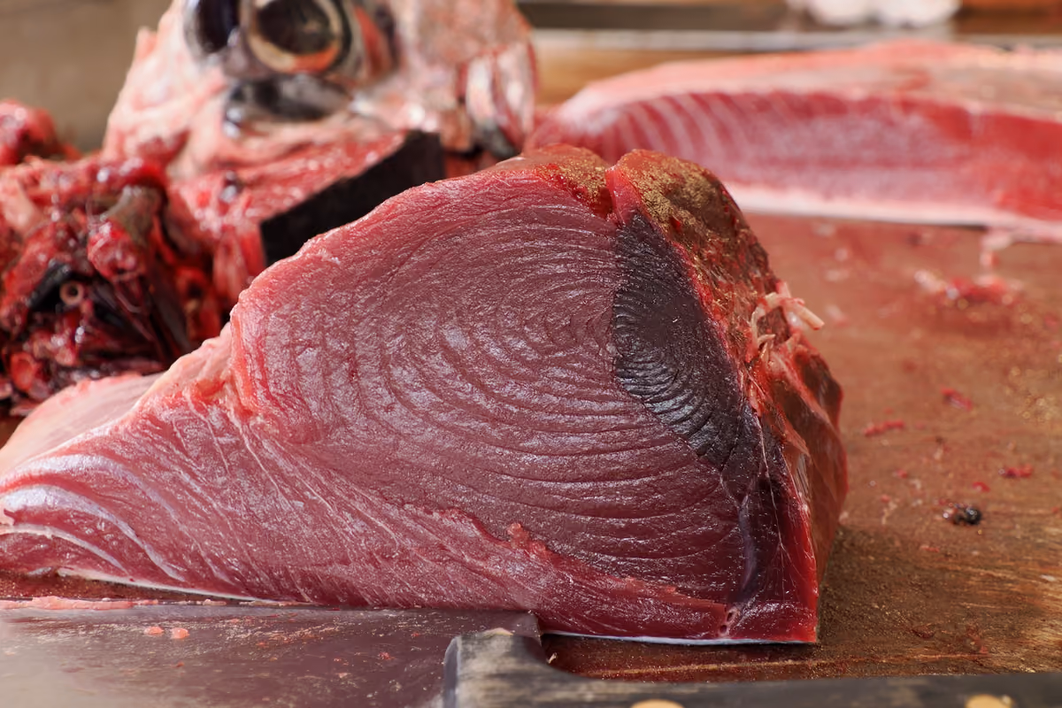 Cefalù e Tindari erano celebri per il tonno, Lipari per l'aragosta e il Peloro per il pesce spada