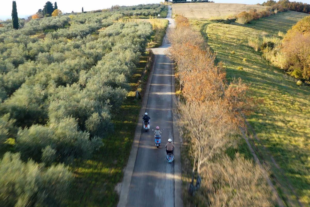 La “Festa dei cachi” è il motivo in più per scoprire l'Istria slovena in autunno