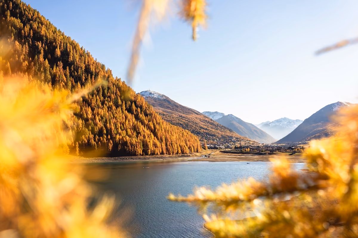 lago alpino circondato da boschi di larici autunnali in Valtellina