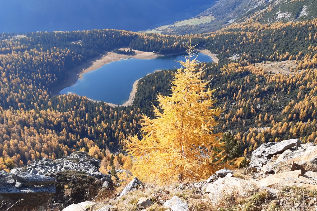 Il lago di Palù