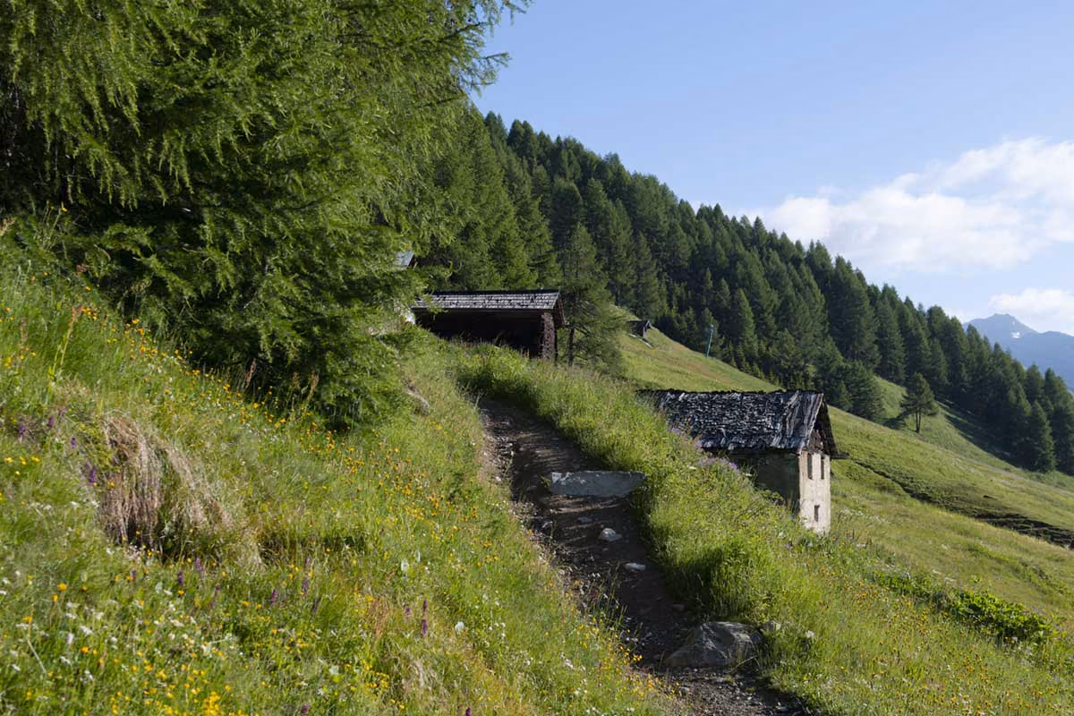 Due tee lungo il Tröi da li Téa