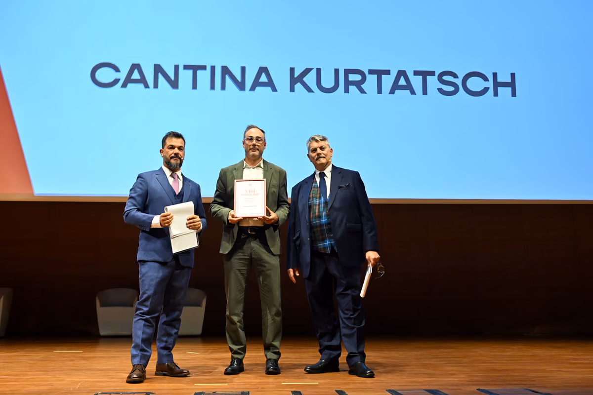 Vini d’Italia, presentata la guida 2027: Tommasi miglior cantina