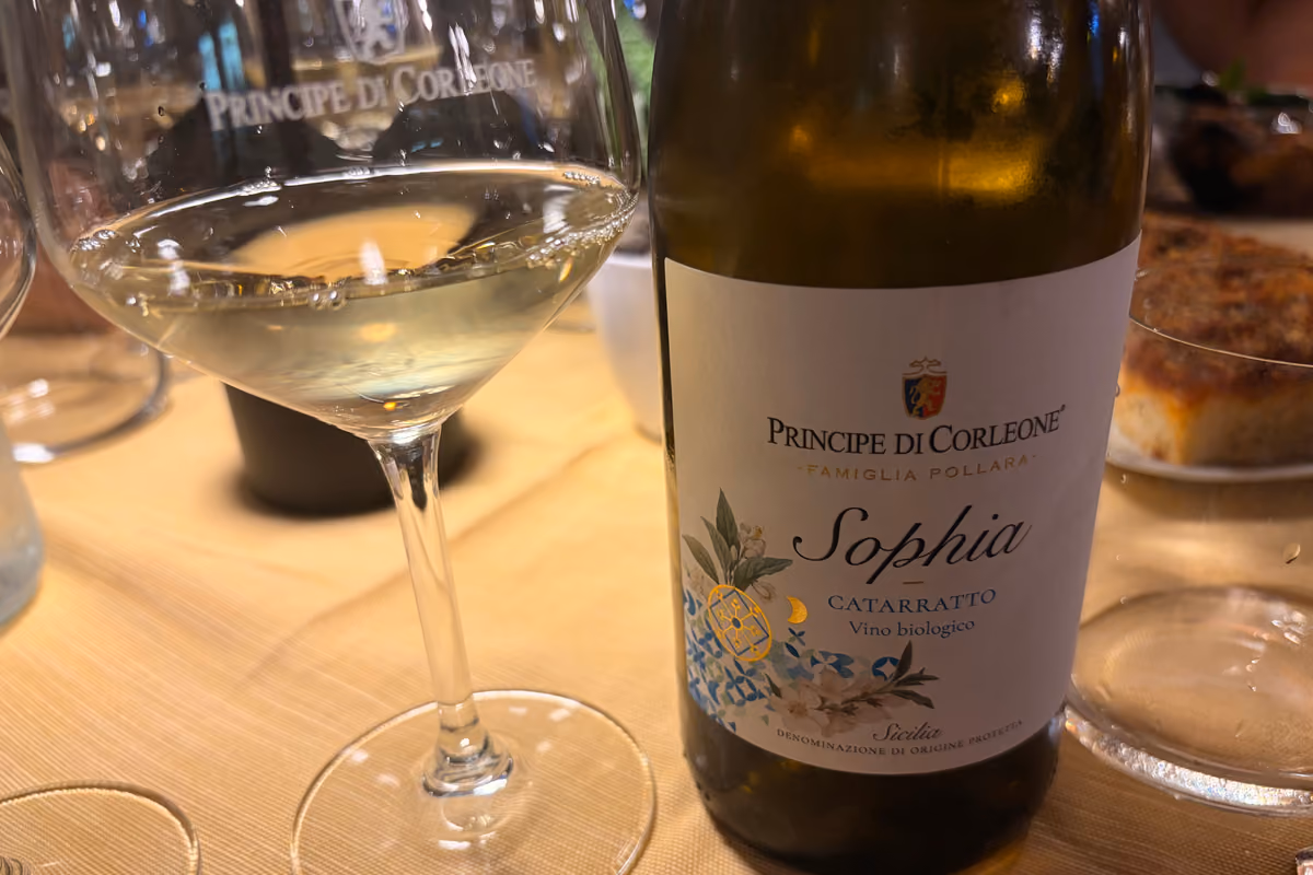 Principe di Corleone, il bianco Sophia 2025, da uve di Catarratto 100%