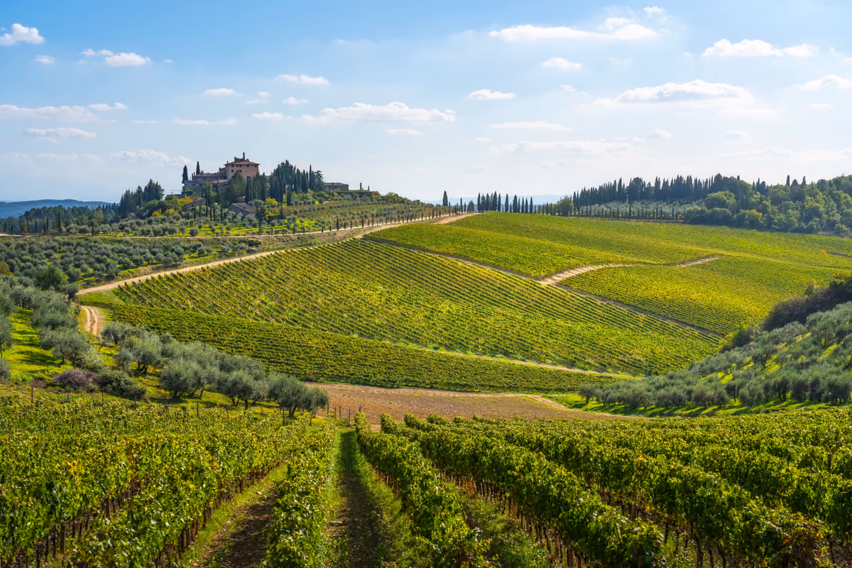 Il Chianti è la destinazione enoturistica italiana più desiderata dai visitatori DACH, con il 38% delle preferenze, davanti a Montepulciano e all'Etna