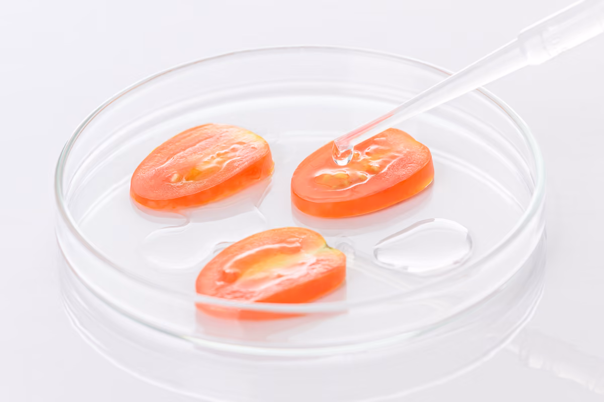 La salmonella può essere rilevata in un pomodoro solo con precise analisi