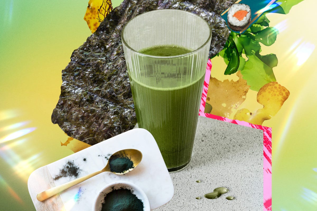 Le alghe vitaminiche superfood 2023. Fonte: Pinterest  Cosa mangeremo e berremo nel 2023? Lo svela Pinterest