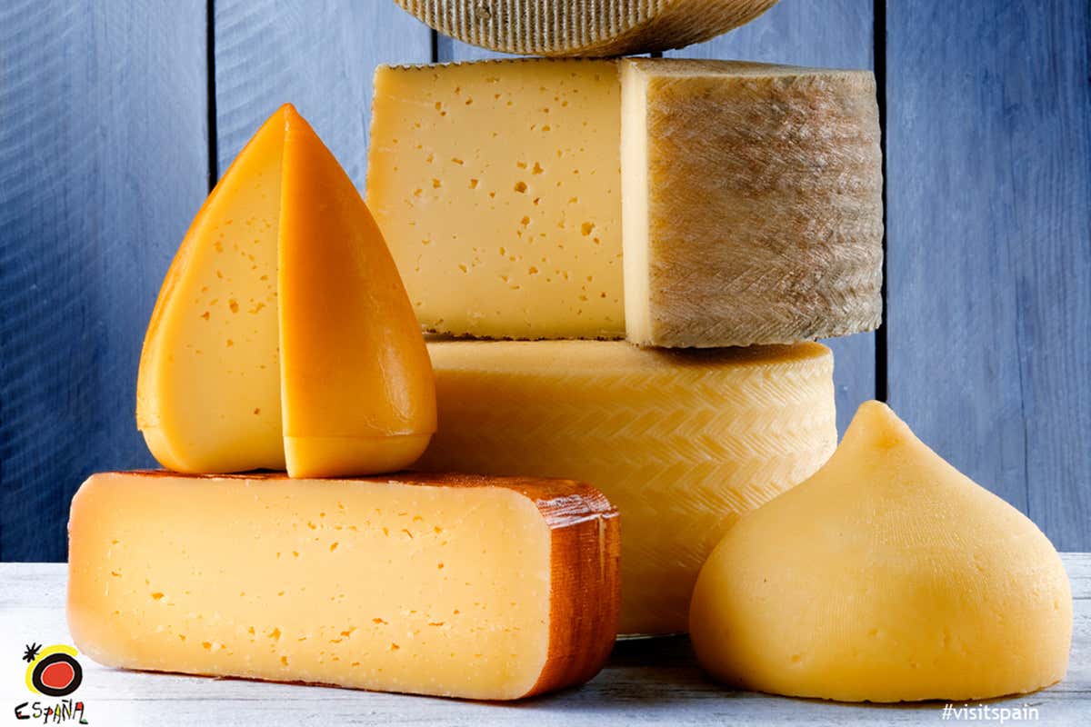 сыр российский домашний. сыр дома отзывы. домашний сыр. домашний сыр. домашний сыр из деревенского творога.