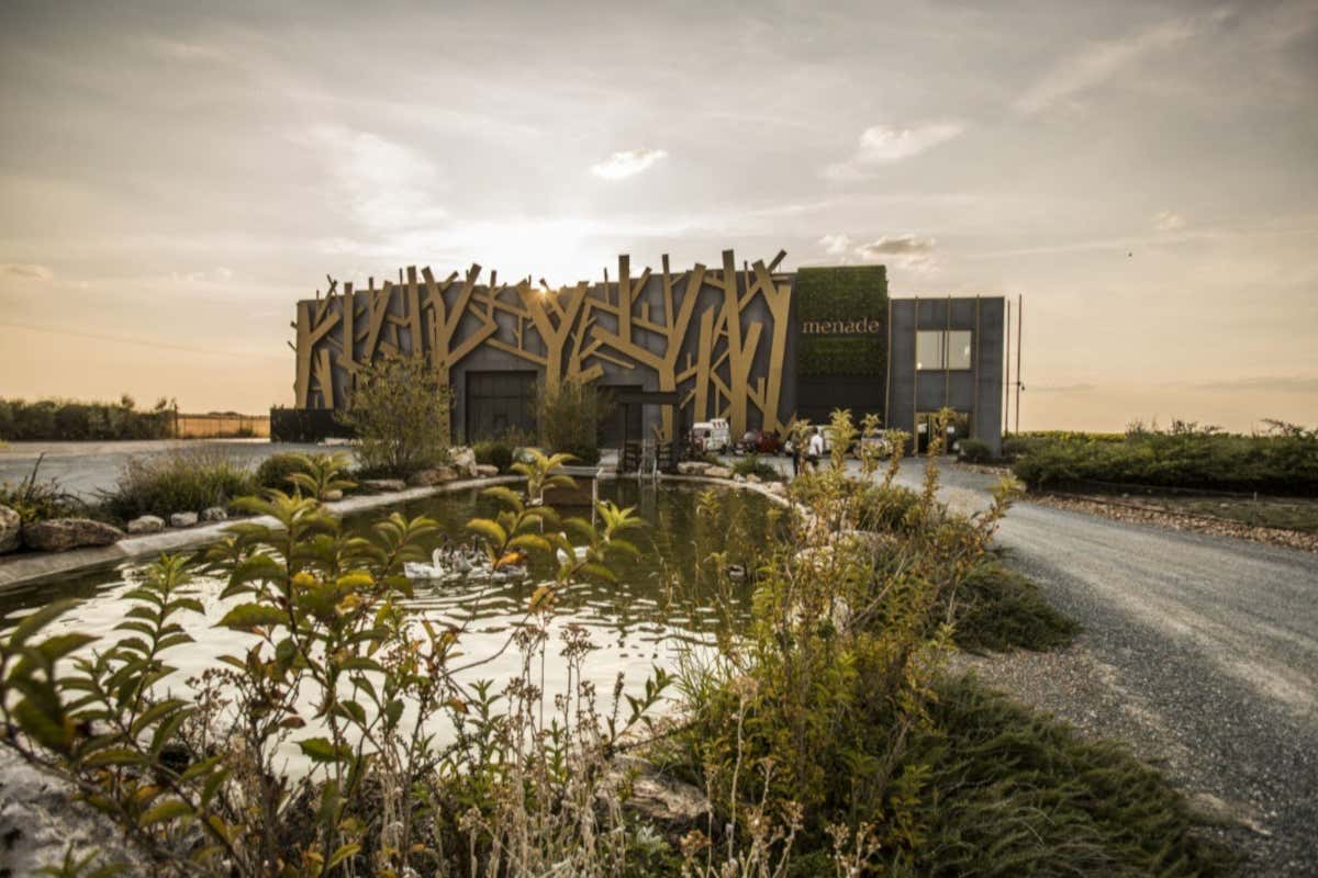 Alla scoperta dei vini spagnoli: il Verdejo secondo Bodegas Menade