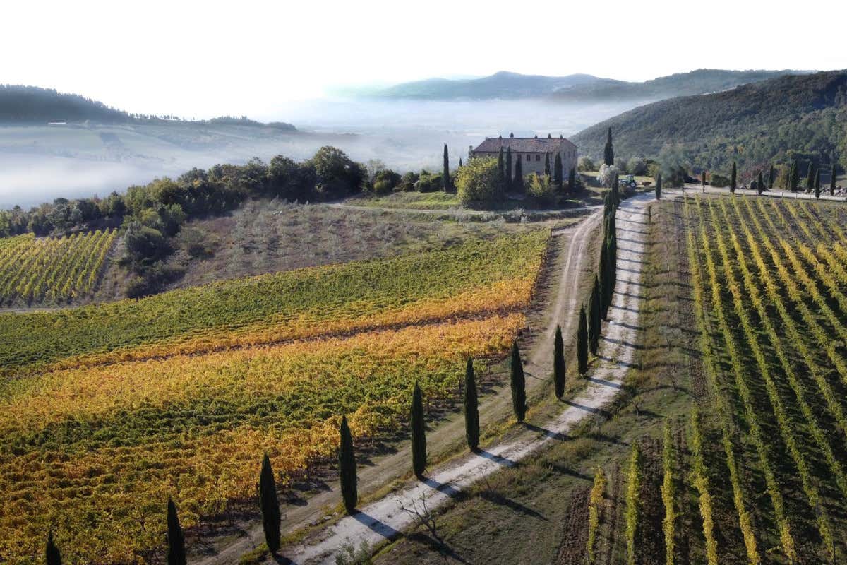 Un vignaiolo francese in Toscana: la storia della tenuta Colline Albelle