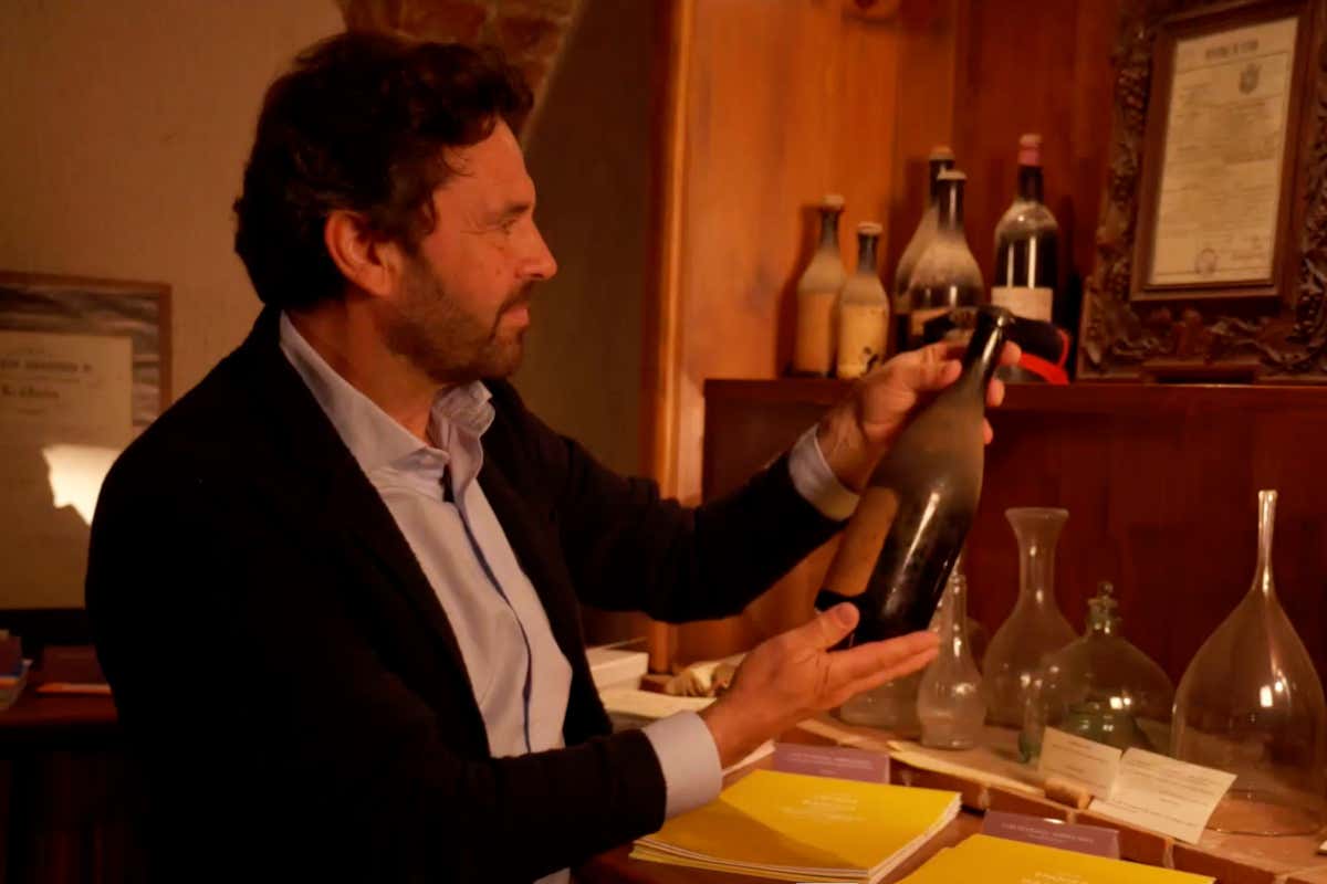 Maestri di cantina, il format tv che svela il dietro le quinte del vino italiano