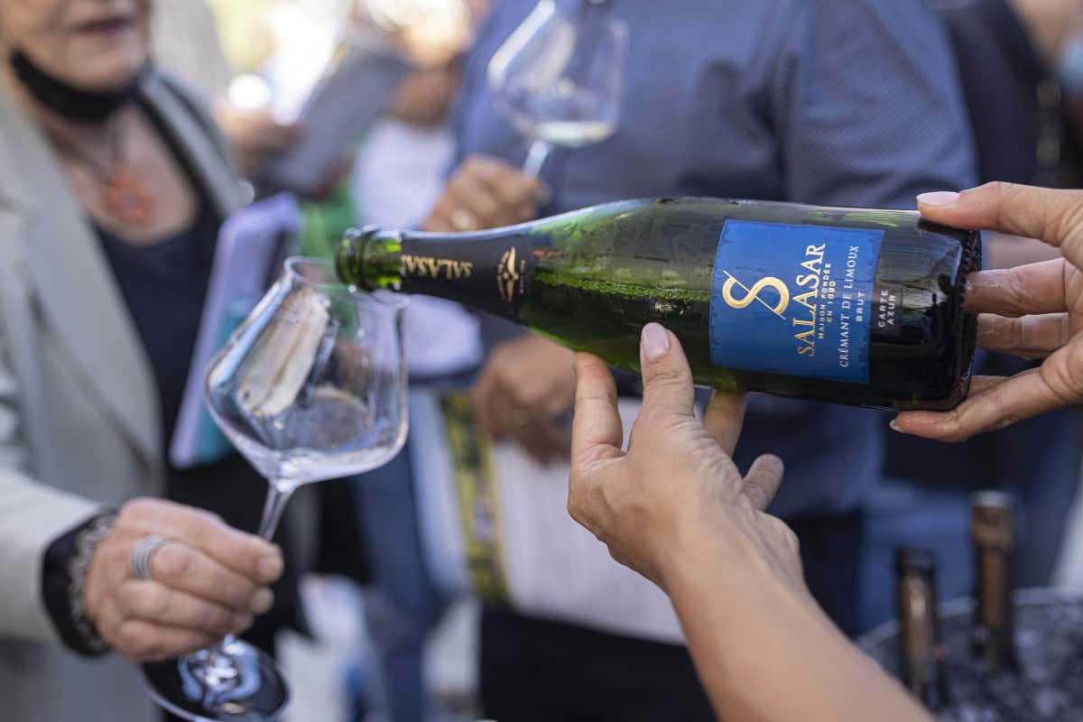 Les Grands Chais de France in Italia nuova vendemmia in crescendo