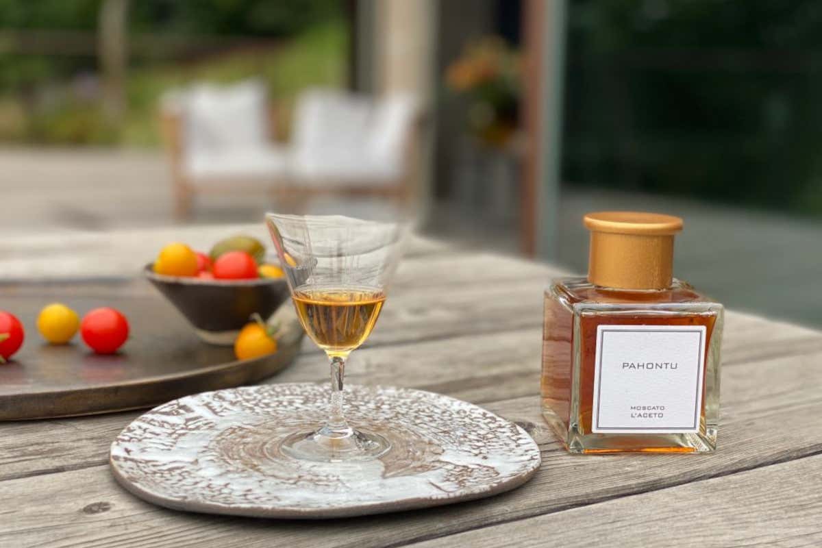 Pahontu nei Colli Euganei, l’aceto da grandi vini