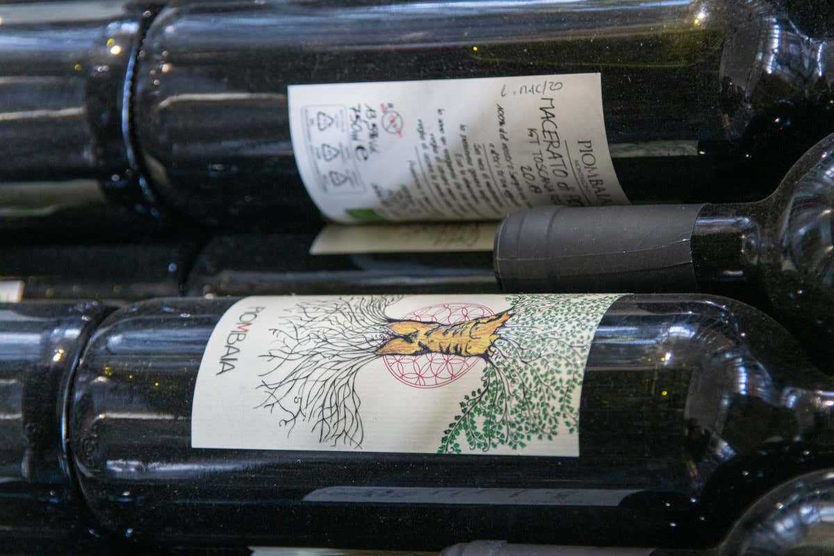 Non solo vino: Piombaia di Montalcino è anche agriturismo e ristorante