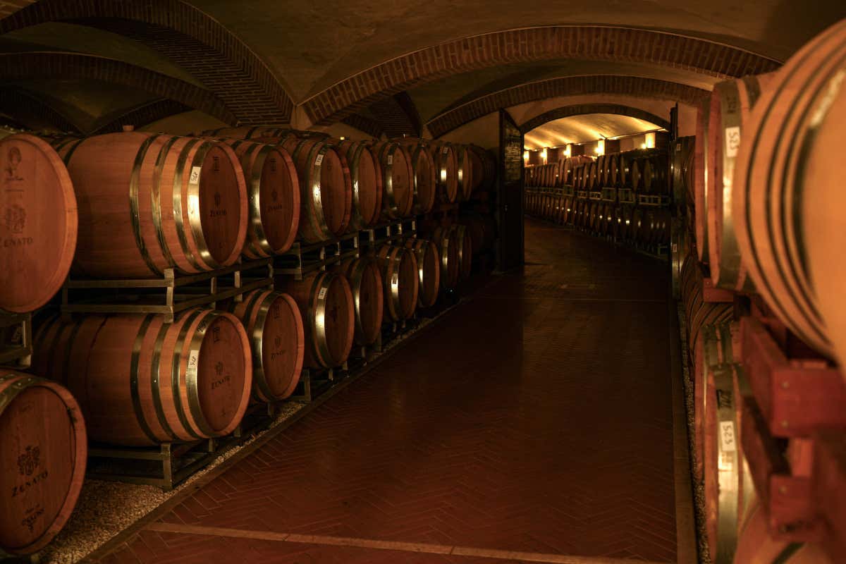 Il regalo perfetto per un wine lover? Il San Valentino in cantina