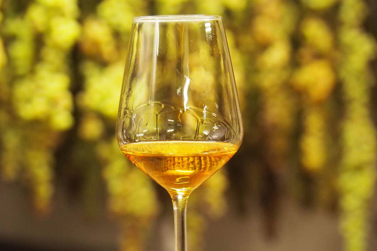 Doc Breganze, l’obiettivo del presidente Santacatterina: puntare sulla Vespaiola