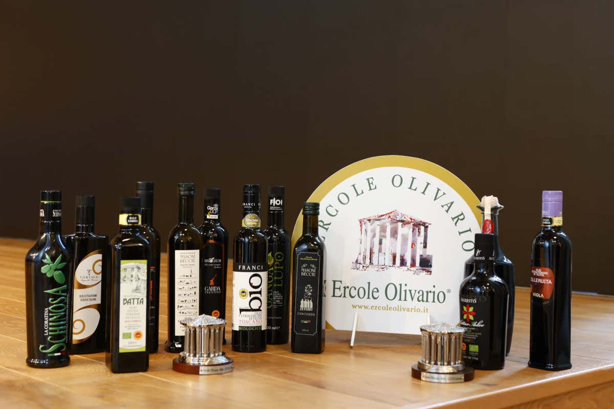 Ercole Olivario: ecco i 12 oli italiani vincitori dell'edizione 2024