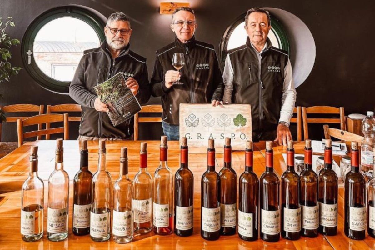 Gianmarco Guarise, Aldo Lorenzoni e Luigino Bertolazzi dell'Associazione Graspo Che gusto hanno i vitigni non più coltivati da oltre 100 anni?