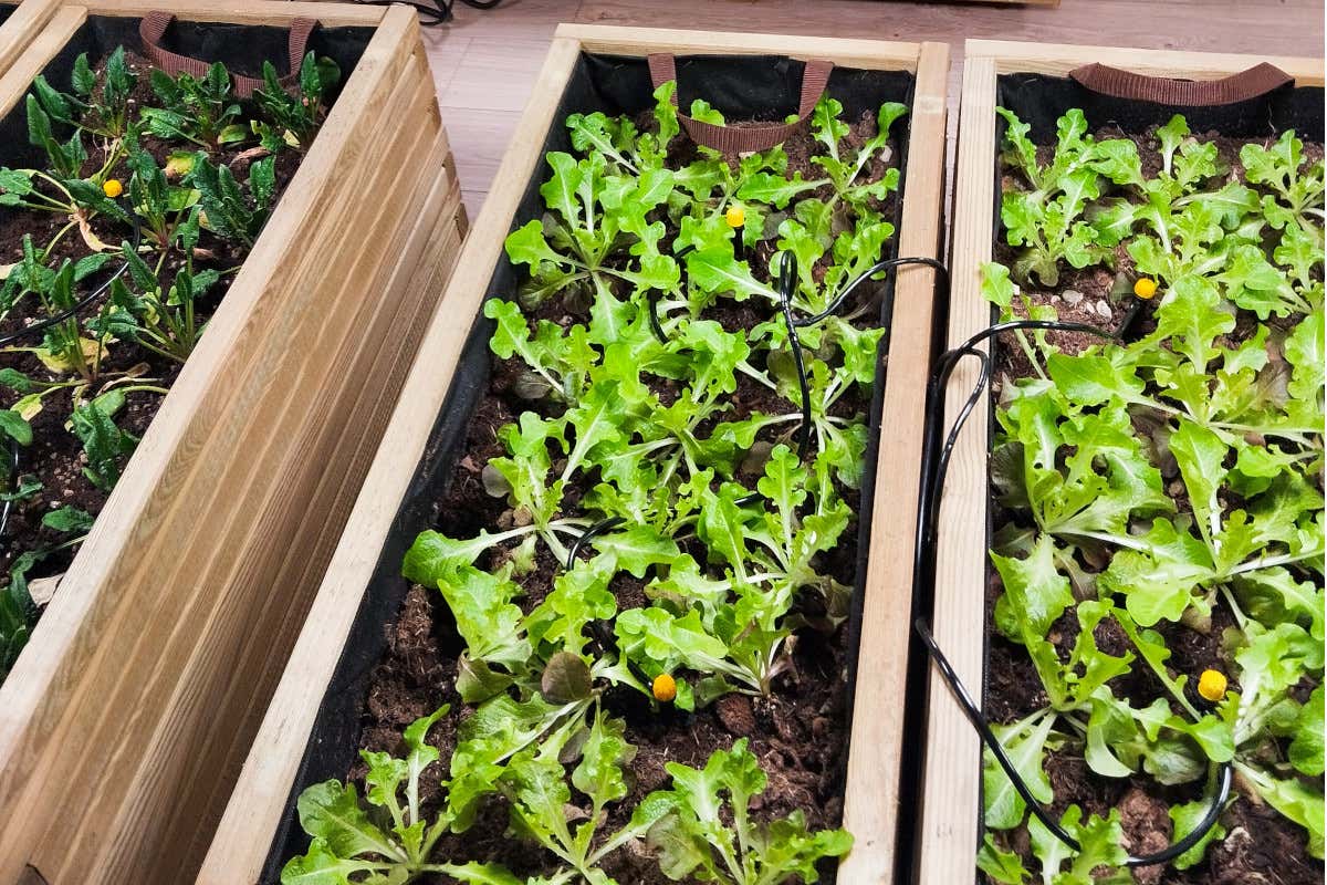 L'Hotel Milano Scala tra i 36 alberghi più sostenibili al mondo