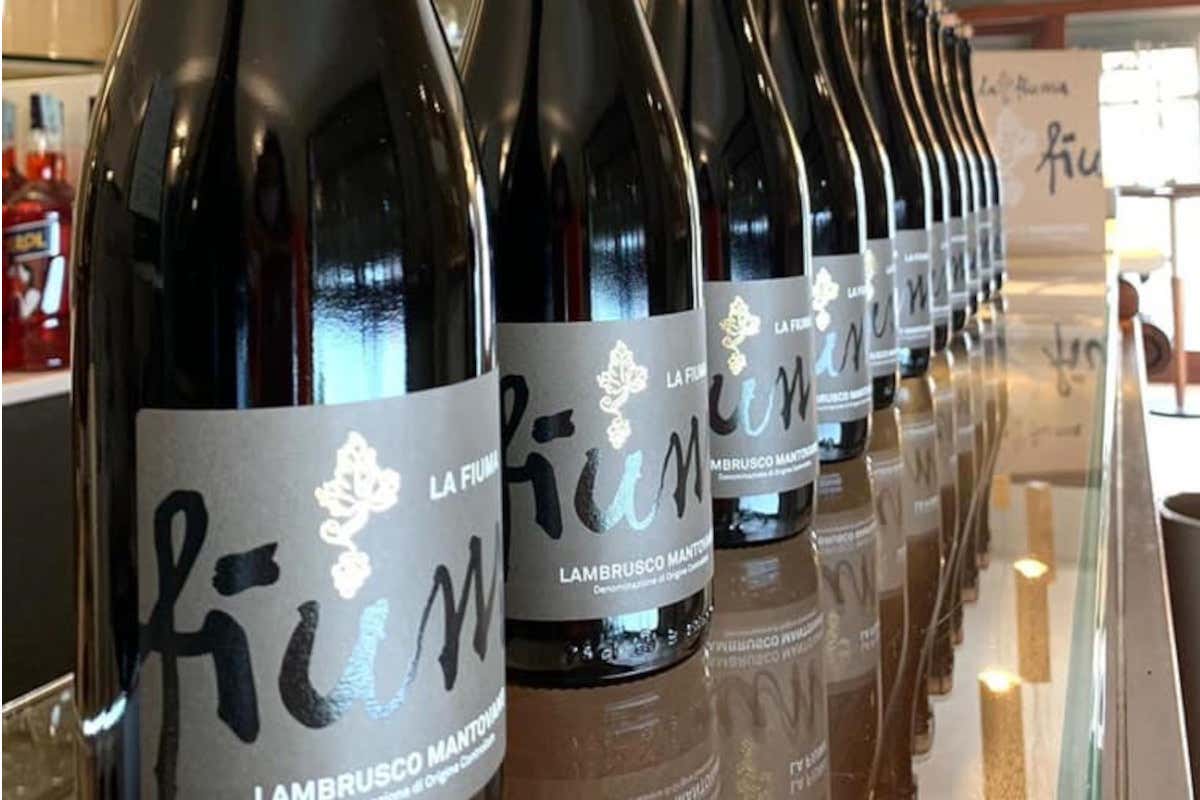 La Fiuma il Lambrusco mantovano che insegna a rilanciare i vitigni autoctoni