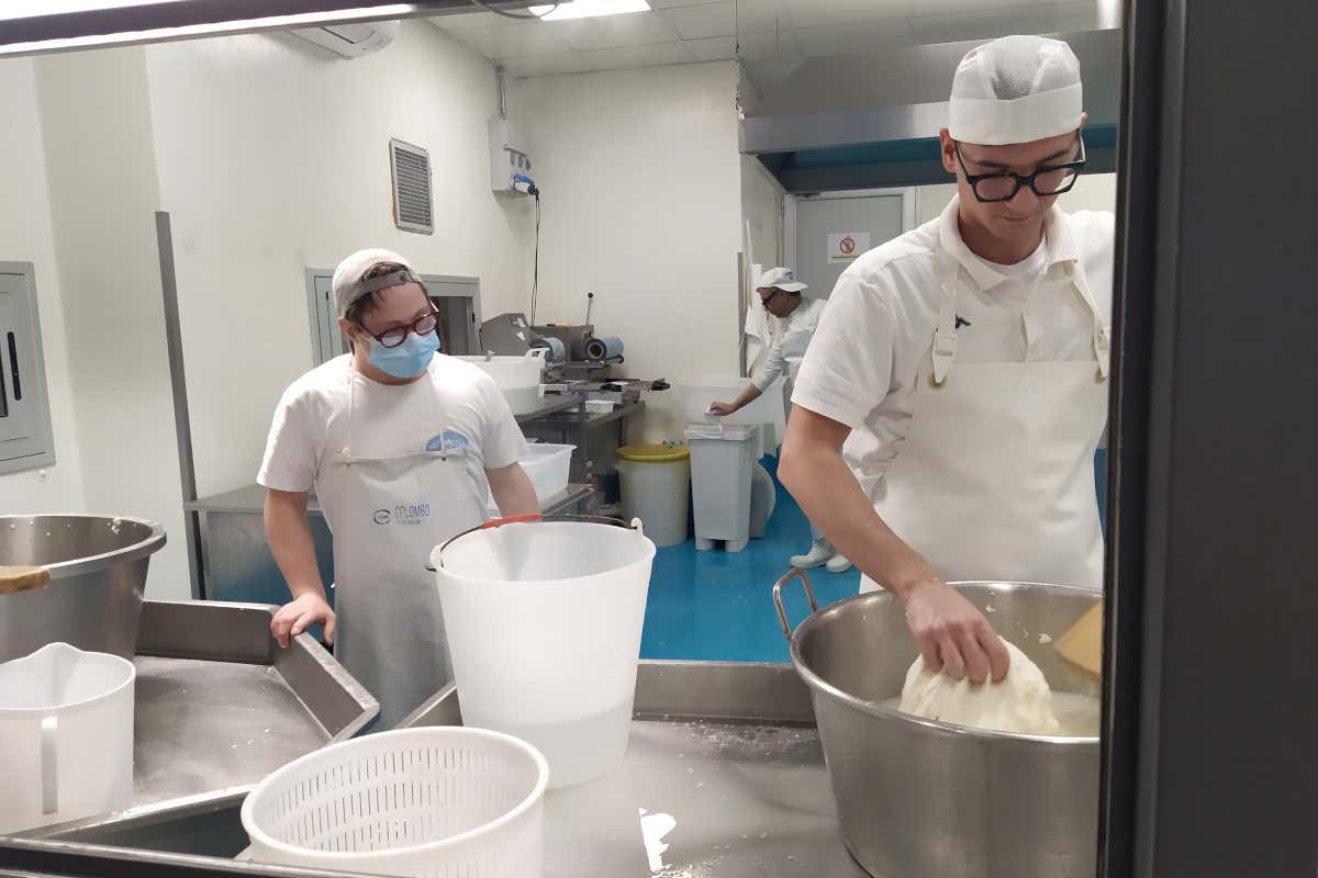 La produzione avviene dietro una vetrata ed &egrave; visibile a tutti Mozzarella mia a Brescia i formaggi perfetti di un casaro ingegnere