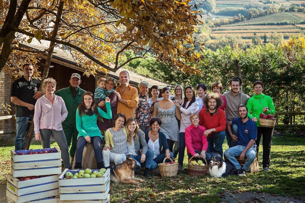 Cena con abbinamenti insoliti? Un menu con il sidro dall'antipasto al dessert