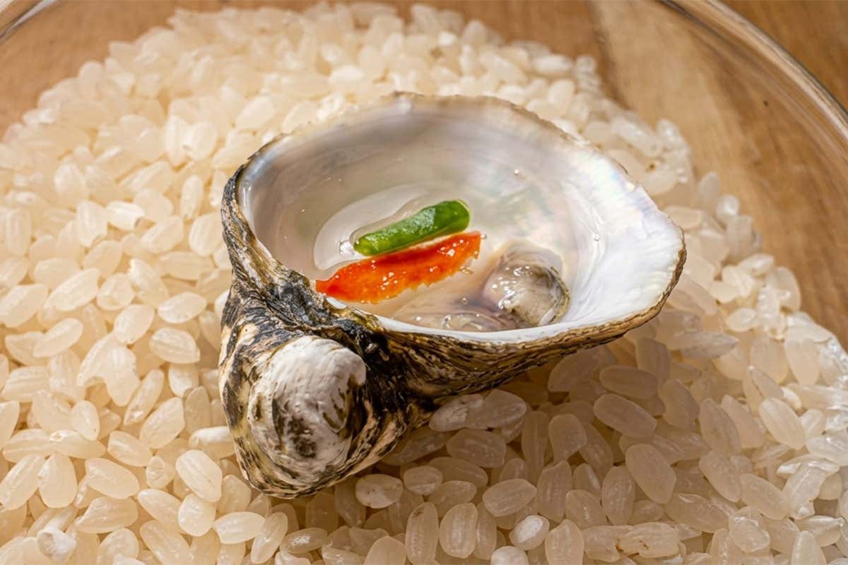 Sole, terra e mare - Osteria Il Pescatore