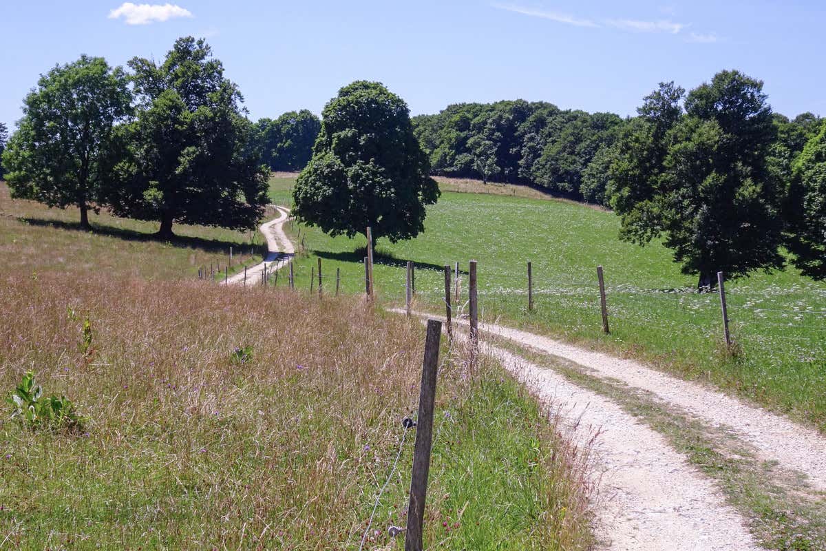 Viaggio in Svizzera tra treni storici, battelli a vapore e percorsi di trekking