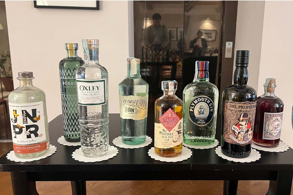 Verticale di gin al Turin Palace Hotel  Apologia del Gin Tonic, esperienza da intenditori al Turin Palace Hotel